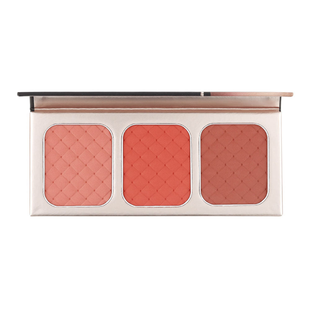 Character Go Blush NTE002