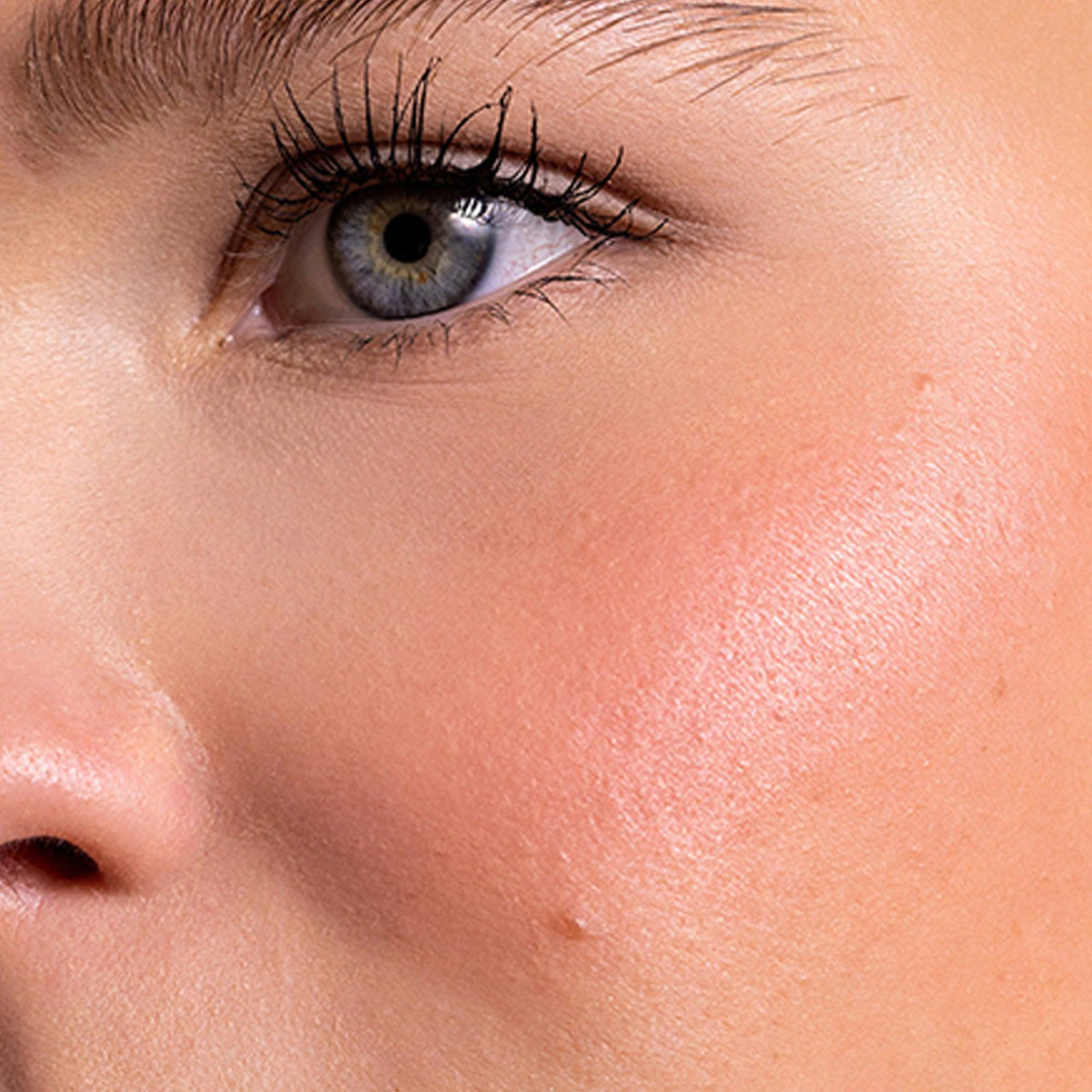 Zeena Powder Blush 020 Touch Of Rose