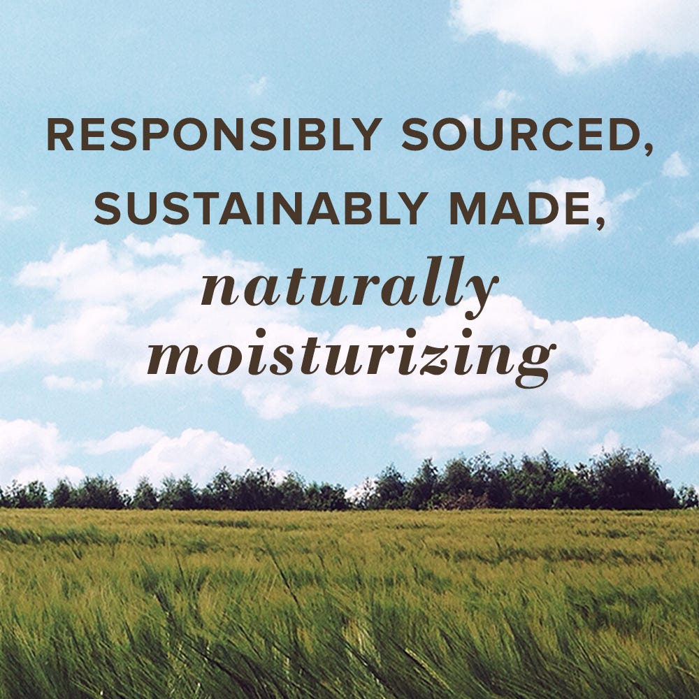 Burt's Bees Lip Gloss with Avocado Oil 015 Dip Lily