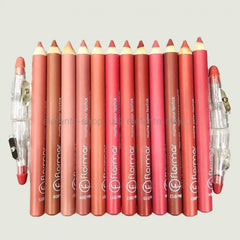 Flormar Matte Color Lipstick ( 12 Pcs  ) Lip Liner + Sharpener For Free